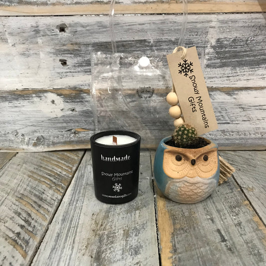 Succulent & Candle Gift Set