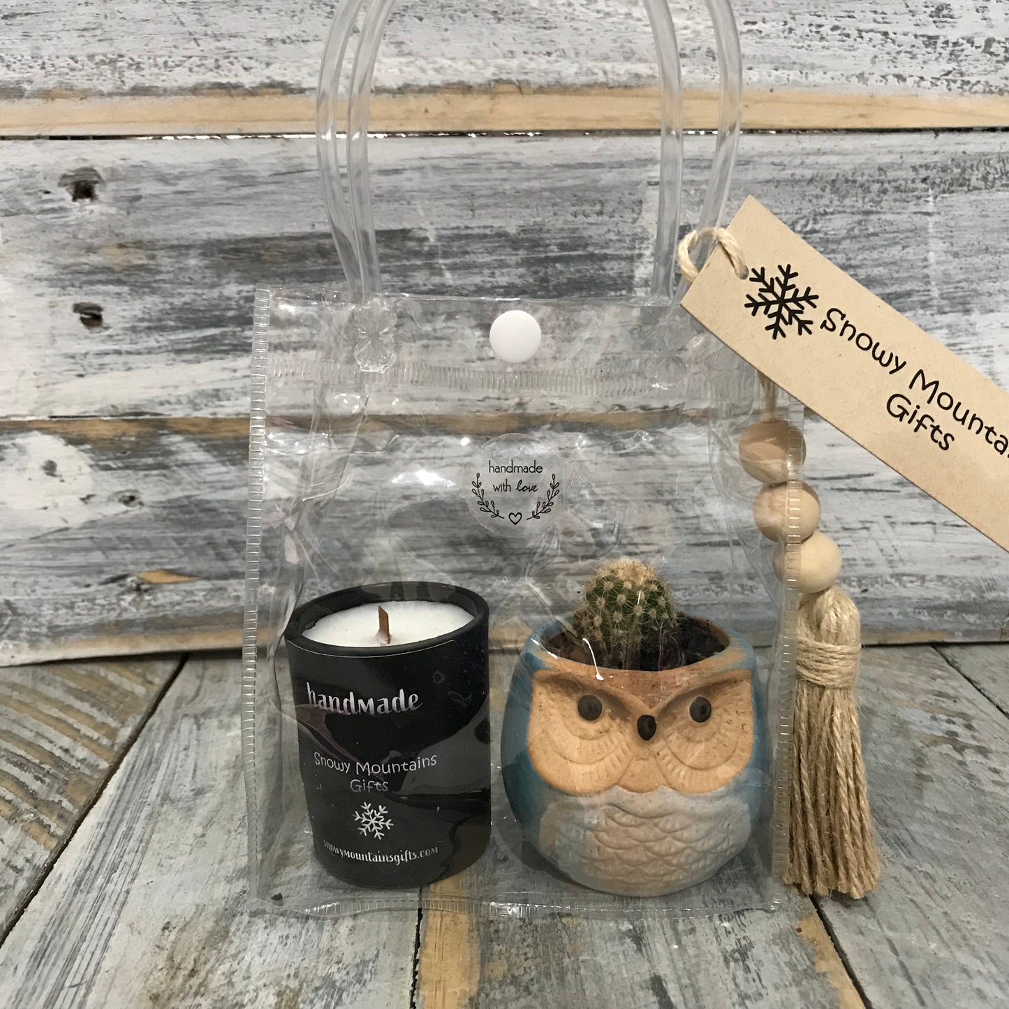 Succulent & Candle Gift Set